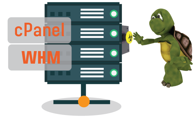 LINUX WHM/CPANEL HOSTING